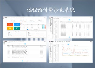 遠(yuǎn)程預(yù)付費(fèi)抄表系統(tǒng)的原理是什么呢？—老王說表